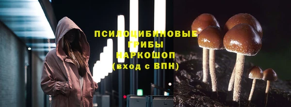 героин Алексин