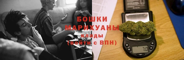 PSILOCYBIN Покачи